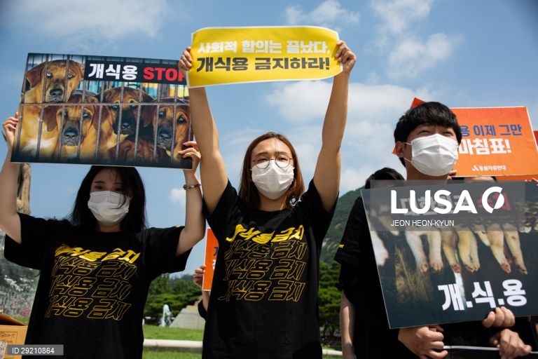 Protesto contra o consumo de carne de cão em Seul