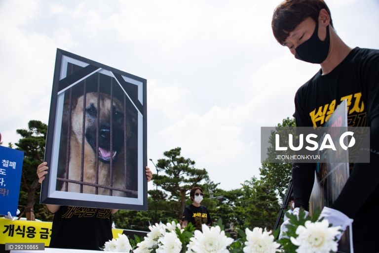 Protesto contra o consumo de carne de cão em Seul