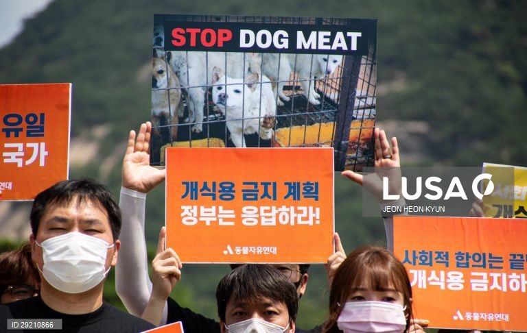 Protesto contra o consumo de carne de cão em Seul