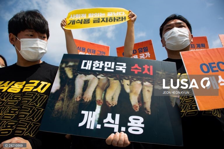 Protesto contra o consumo de carne de cão em Seul