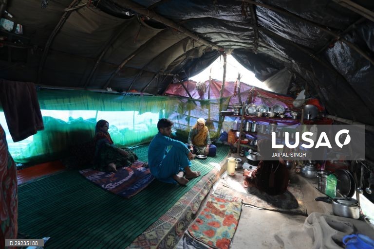 Índia: Bakarwal, tribo nómada da Caxemira