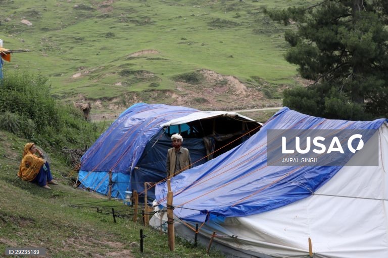 Índia: Bakarwal, tribo nómada da Caxemira