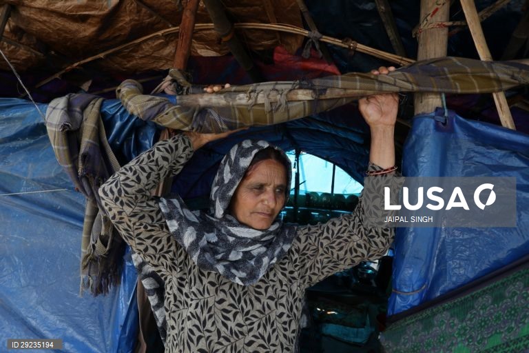 Índia: Bakarwal, tribo nómada da Caxemira