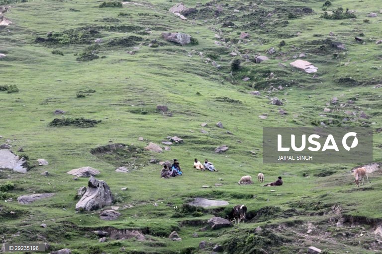 Índia: Bakarwal, tribo nómada da Caxemira