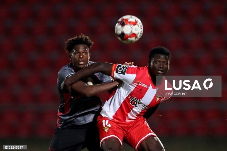 O Benfica venceu hoje o Desportivo das Aves por 4-0