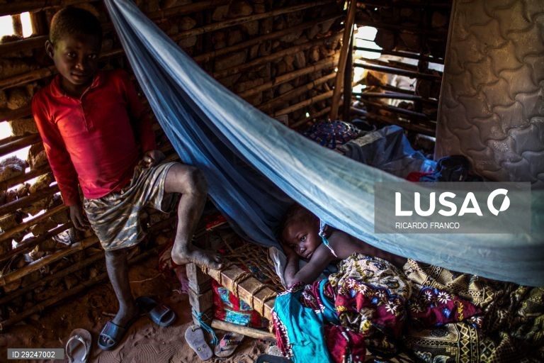 Moçambique/Ataques: Família refugia-se em Pemba