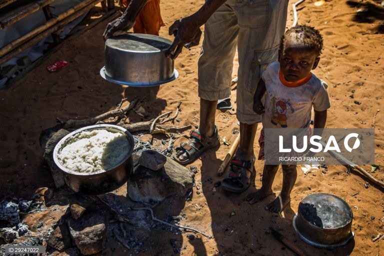 Moçambique/Ataques: Família refugia-se em Pemba