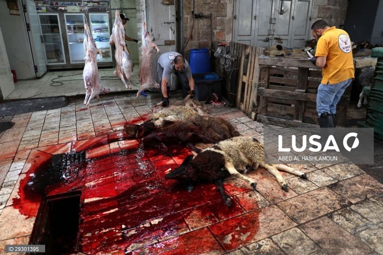 Islão: Celebrações da Festa do Sacrifício