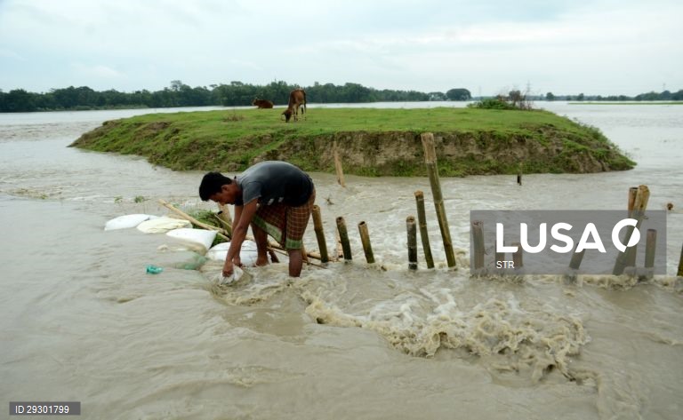 Índia: Inundações em Assam