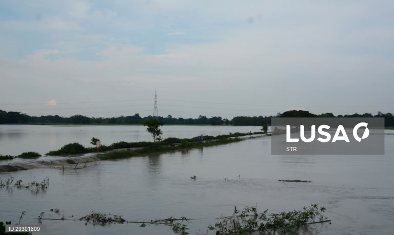 Índia: Inundações em Assam