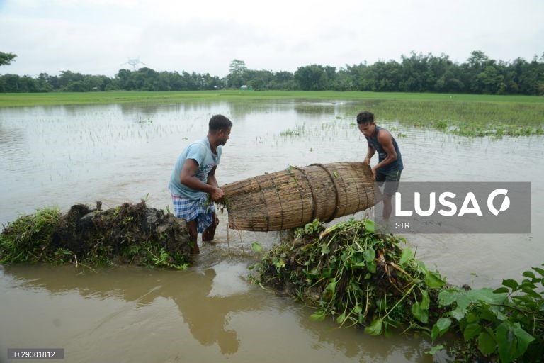 Índia: Inundações em Assam