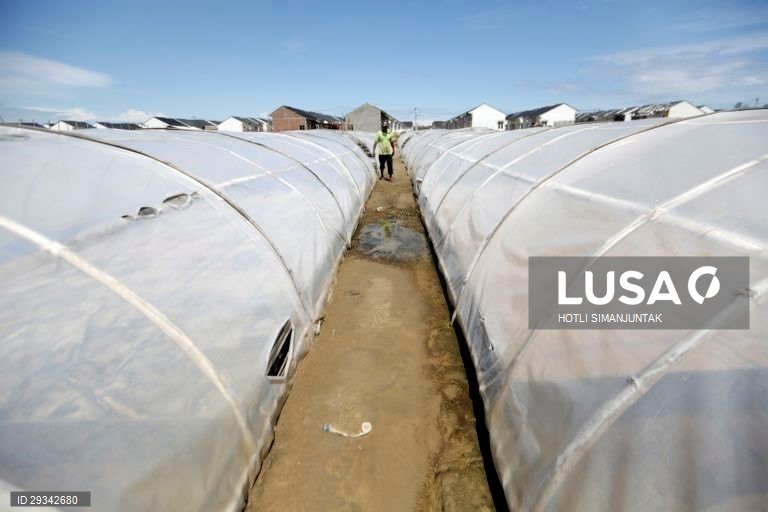 Produção tradicional de sal na Indonésia