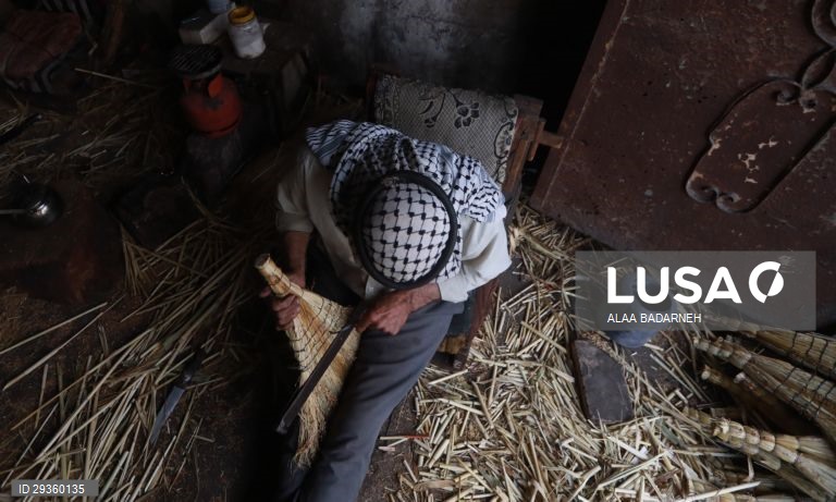 Cisjordânia: Fabrico artesanal de vassouras em Nablus