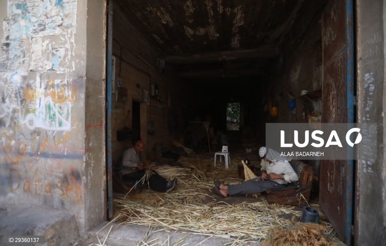 Cisjordânia: Fabrico artesanal de vassouras em Nablus