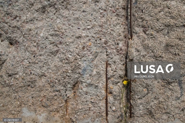 59º aniversário da construção do Muro de Berlim