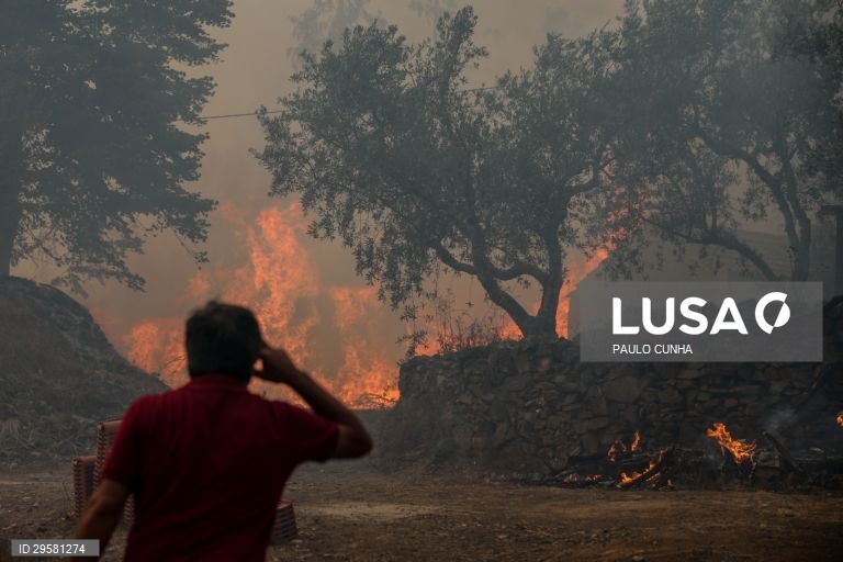 Incêndio em Oleiros