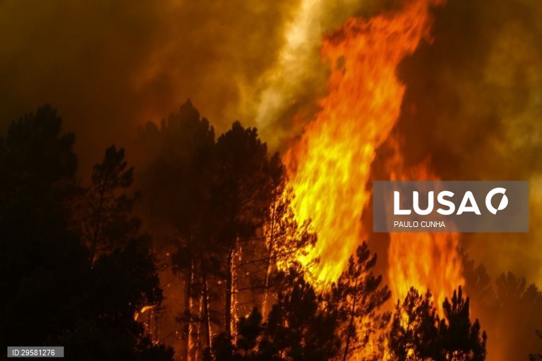 Incêndio em Oleiros