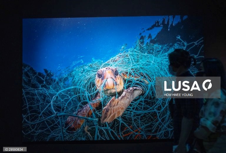 Exposição no Museu ArtScience em Singapura "Planeta ou Plástico?" 