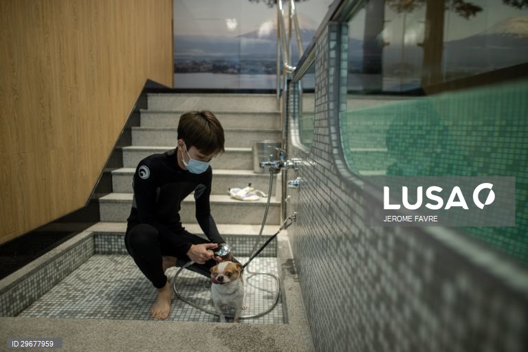 A instalação de cuidados para animais de estimação de Hong Kong