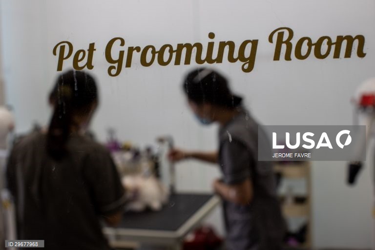 A instalação de cuidados para animais de estimação de Hong Kong