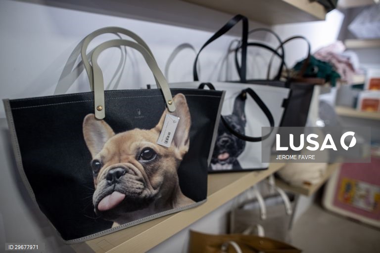 A instalação de cuidados para animais de estimação de Hong Kong