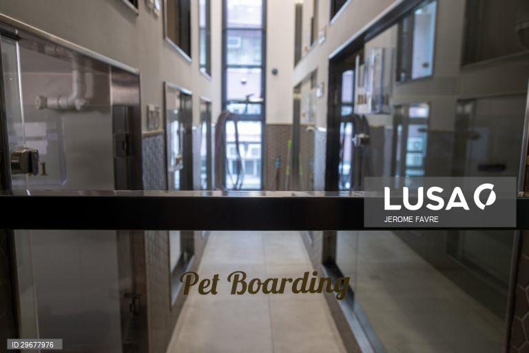 A instalação de cuidados para animais de estimação de Hong Kong