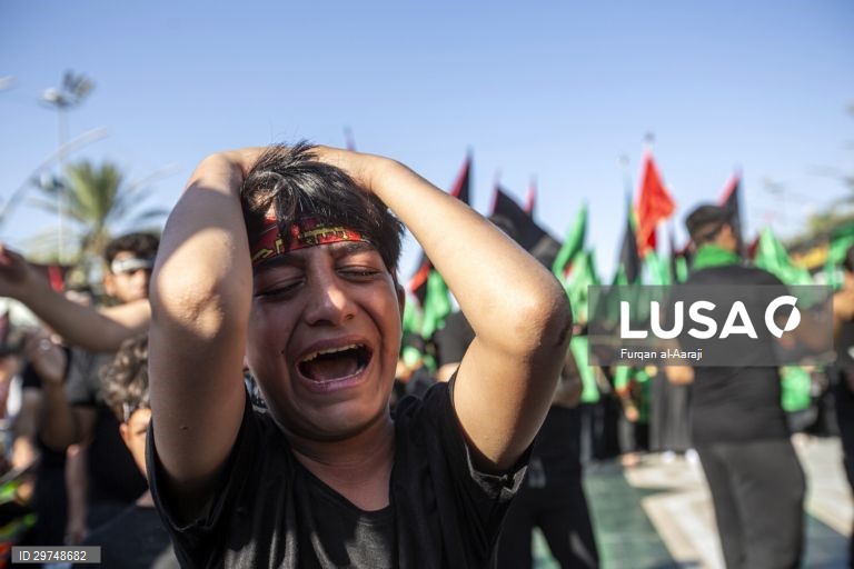 Iraque: Peregrinação xiita a Karbala