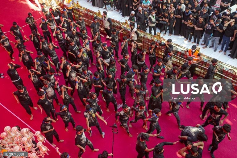 Iraque: Peregrinação xiita a Karbala