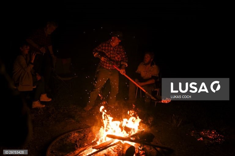 Austrália: Colheita de laranjas no estado de Nova Gales do Sul