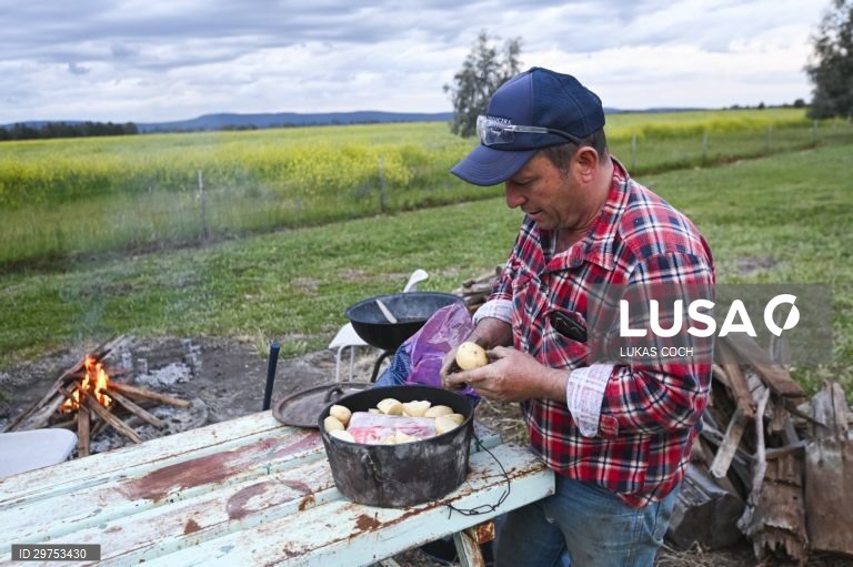 Austrália: Colheita de laranjas no estado de Nova Gales do Sul