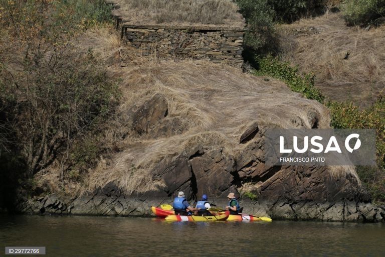 A Fundação Côa Parque propõe aos visitantes uma nova modalidade de circuito pelas gravuras rupestres, desta vez a nado, nas águas do rio Côa, para assim descobrir um novo ângulo deste património com 30.000 anos, Vila Nova de Foz Côa, 10 de outubro de 2020. (ACOMPANHA TEXTO DE 11/10/2020) FRANCISCO PINTO/LUSA