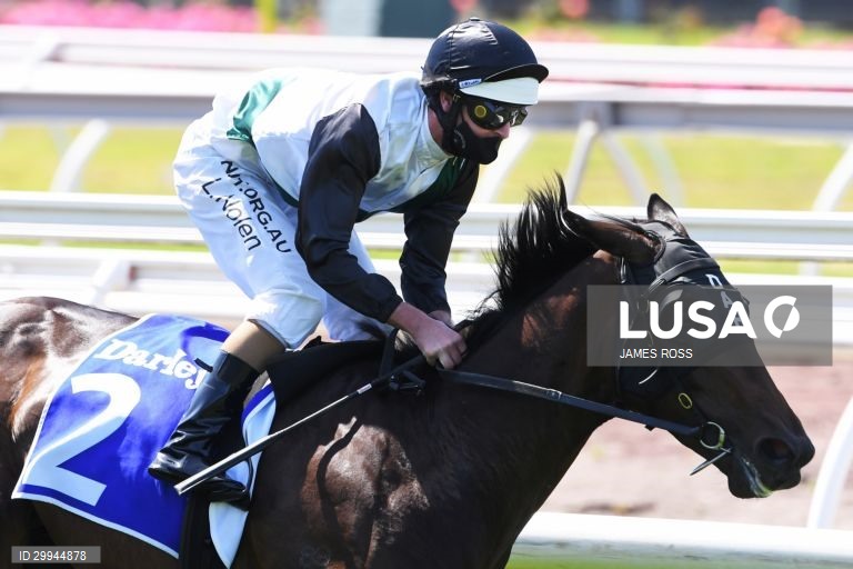Corridas de cavalos - Taça de Melbourne