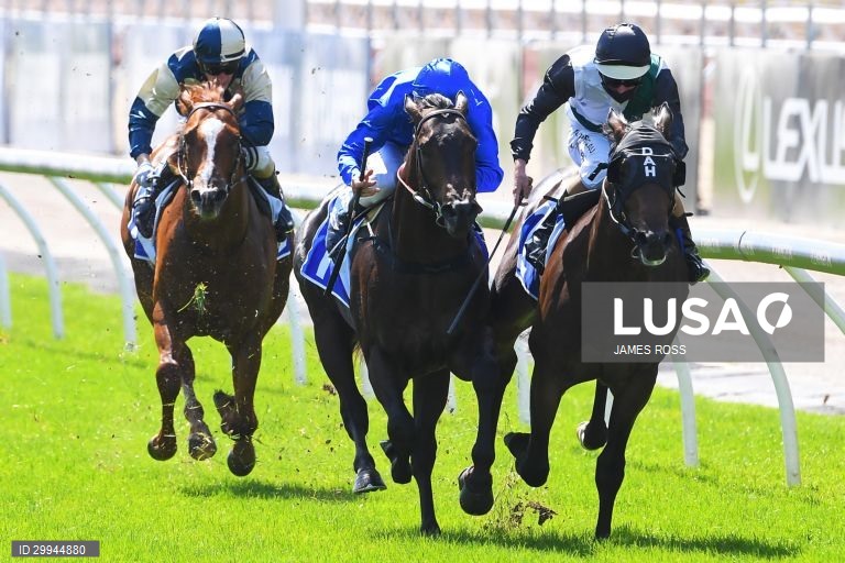 Corridas de cavalos - Taça de Melbourne
