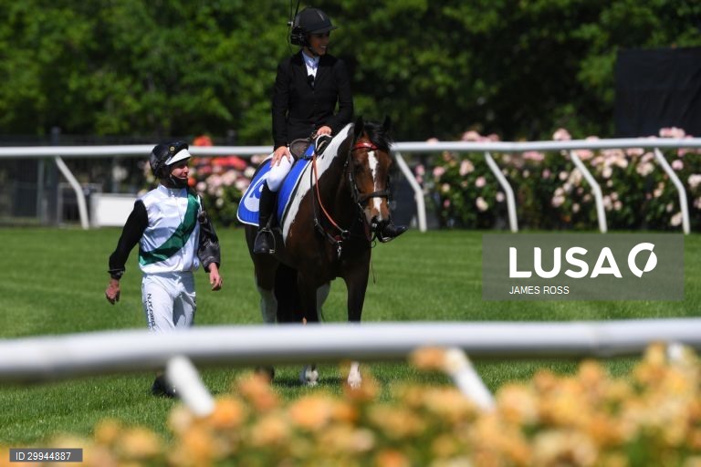 Corridas de cavalos - Taça de Melbourne