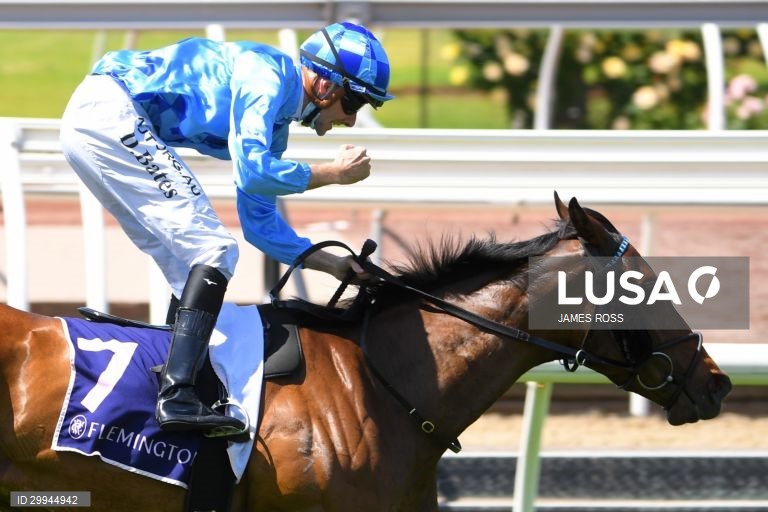 Corridas de cavalos - Taça de Melbourne