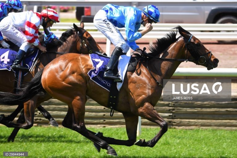 Corridas de cavalos - Taça de Melbourne