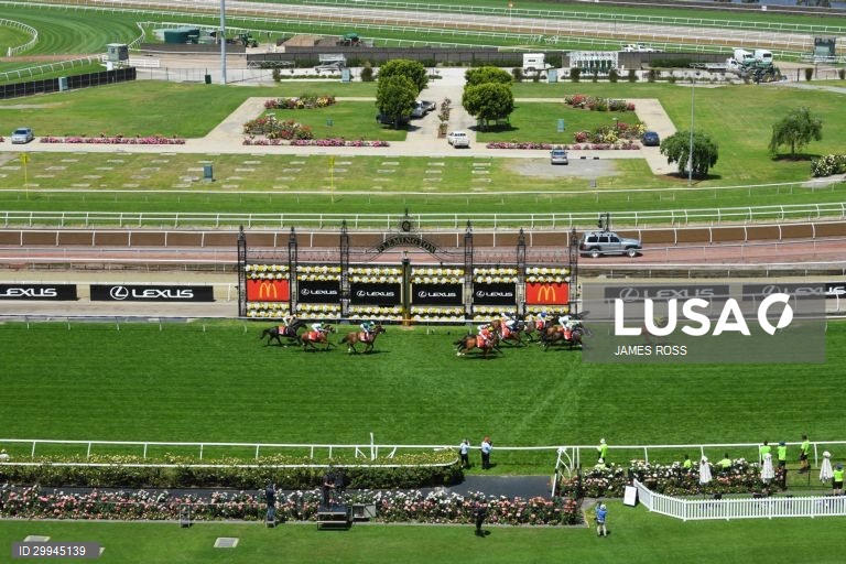 Corridas de cavalos - Taça de Melbourne