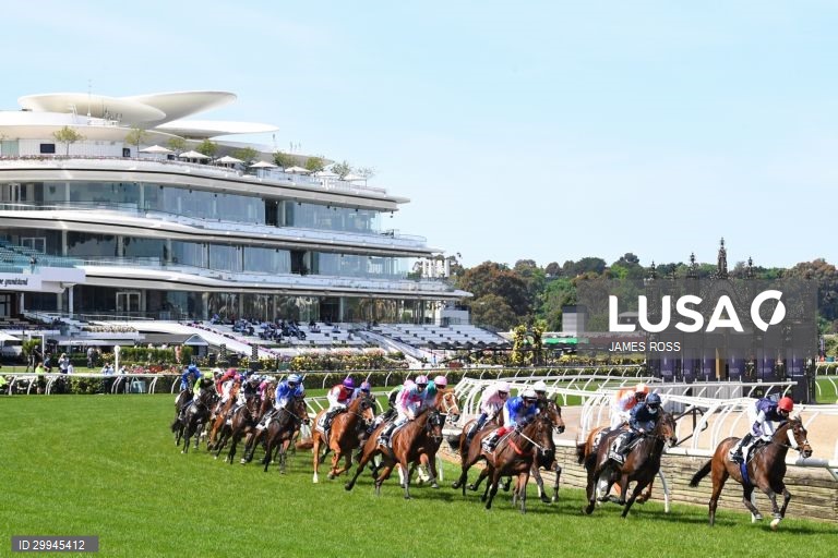 Corridas de cavalos - Taça de Melbourne
