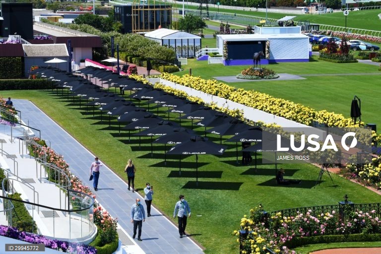 Corridas de cavalos - Taça de Melbourne