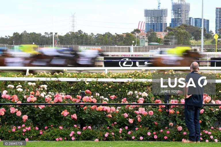 Corridas de cavalos - Taça de Melbourne