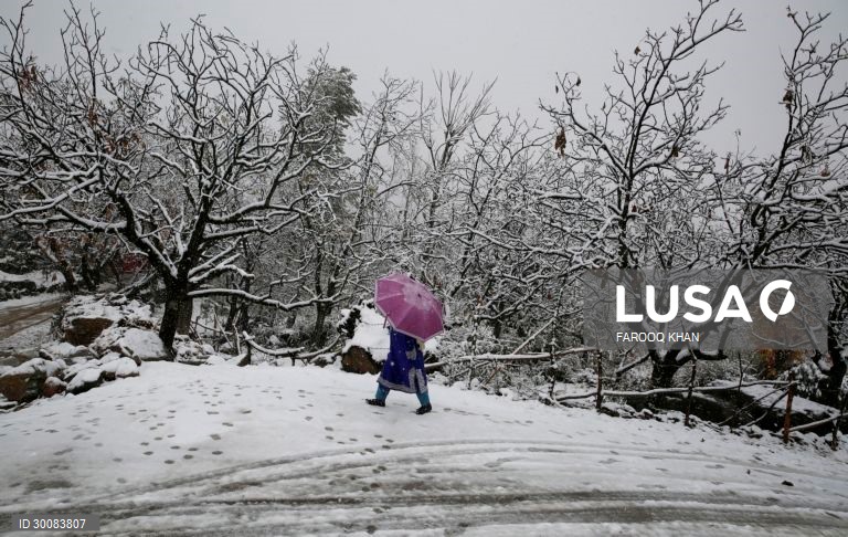 Índia: Primeiro nevão em Caxemira 