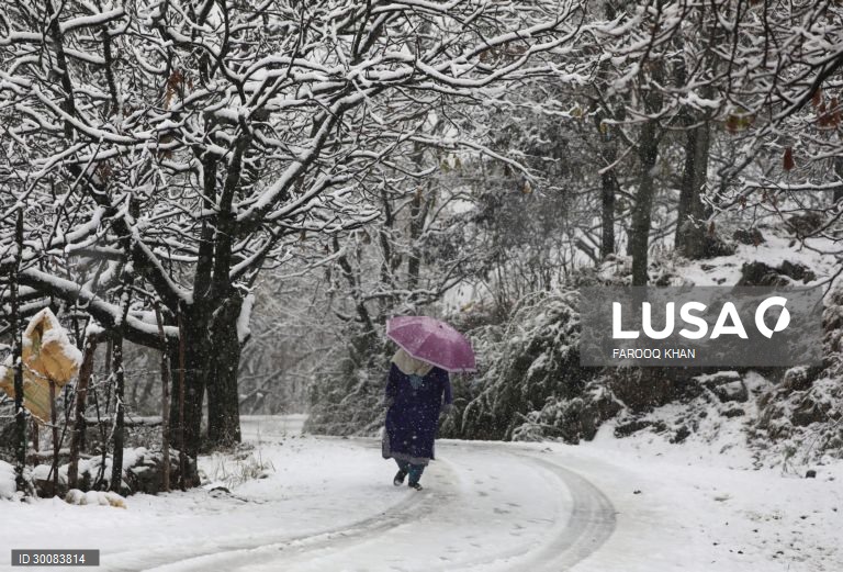 Índia: Primeiro nevão em Caxemira 