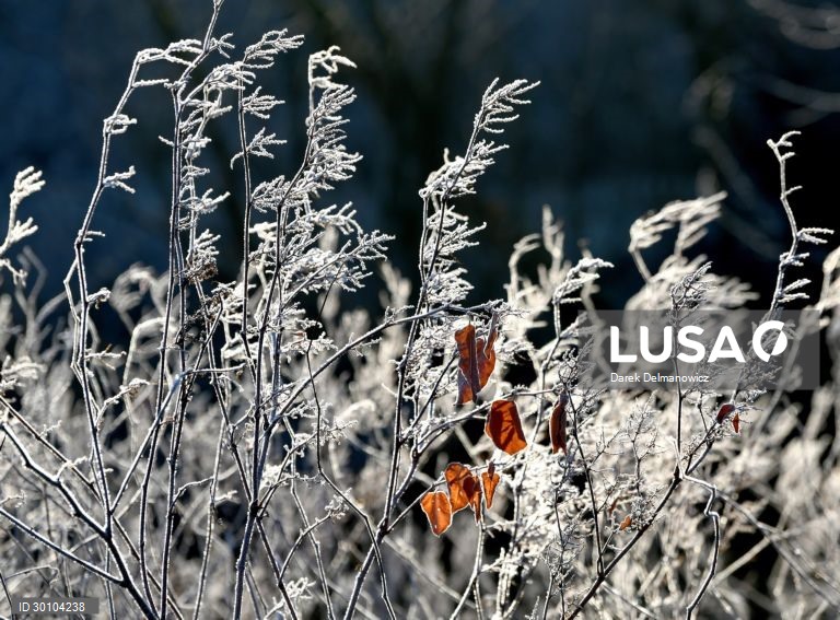 Amanhã de geada no sudeste da Polónia