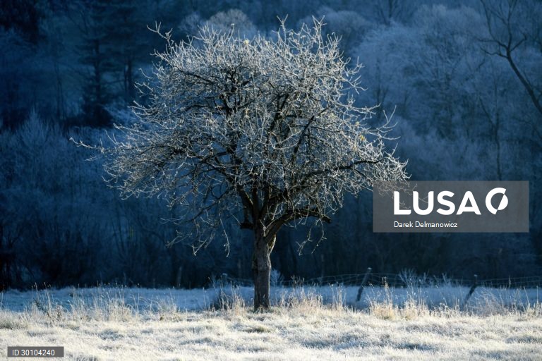 Amanhã de geada no sudeste da Polónia