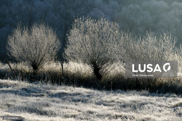 Amanhã de geada no sudeste da Polónia