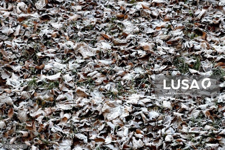 Amanhã de geada no sudeste da Polónia