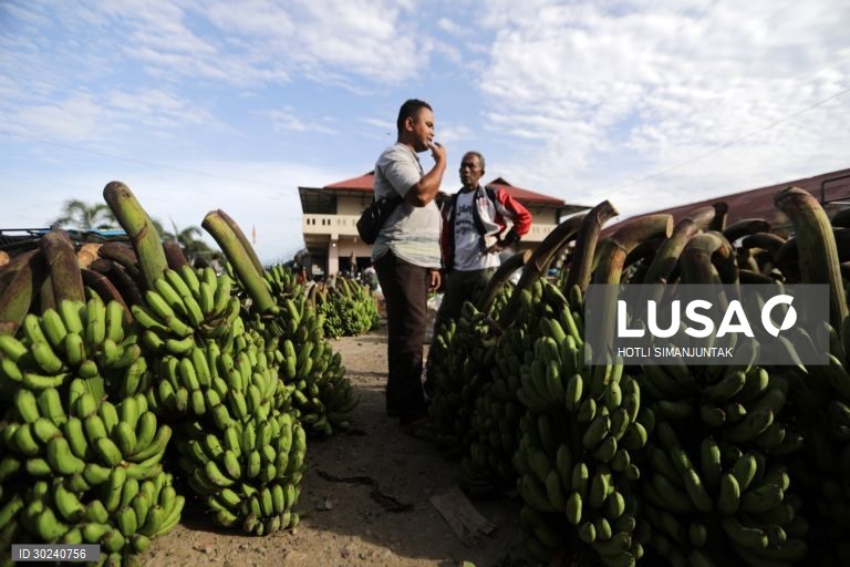 Quotidiano num mercado tradicional em Aceh, Indonésia
