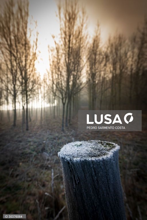 Temperaturas negativas em Chaves