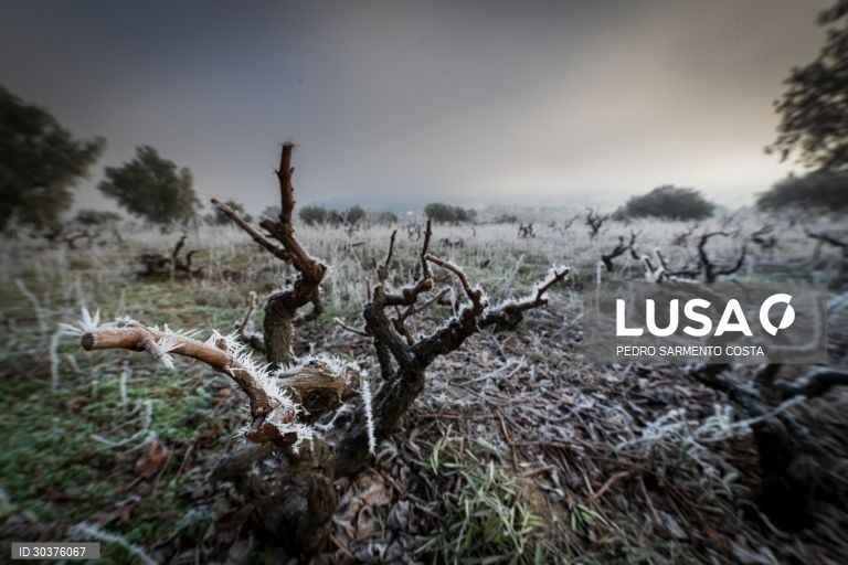 Temperaturas negativas em Chaves
