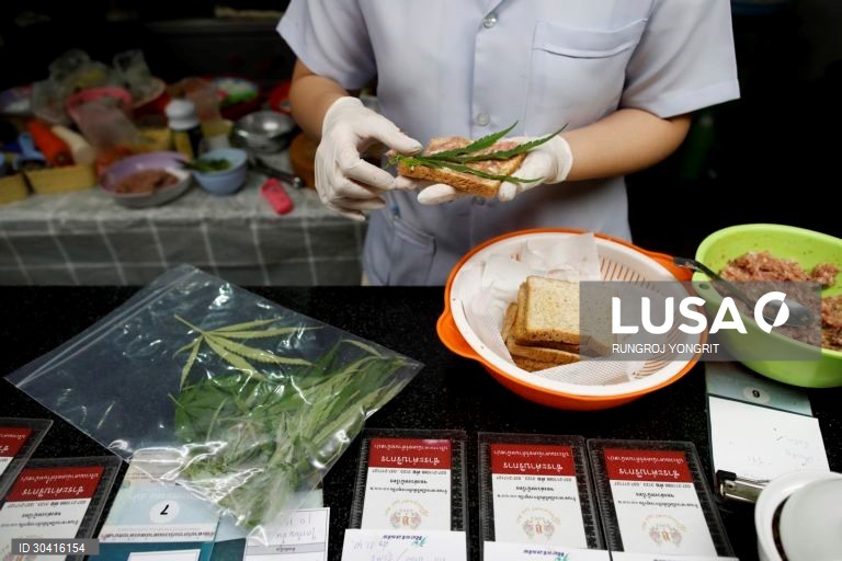 O primeiro restaurante de canábis da Tailândia